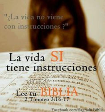 la vida y la biblia